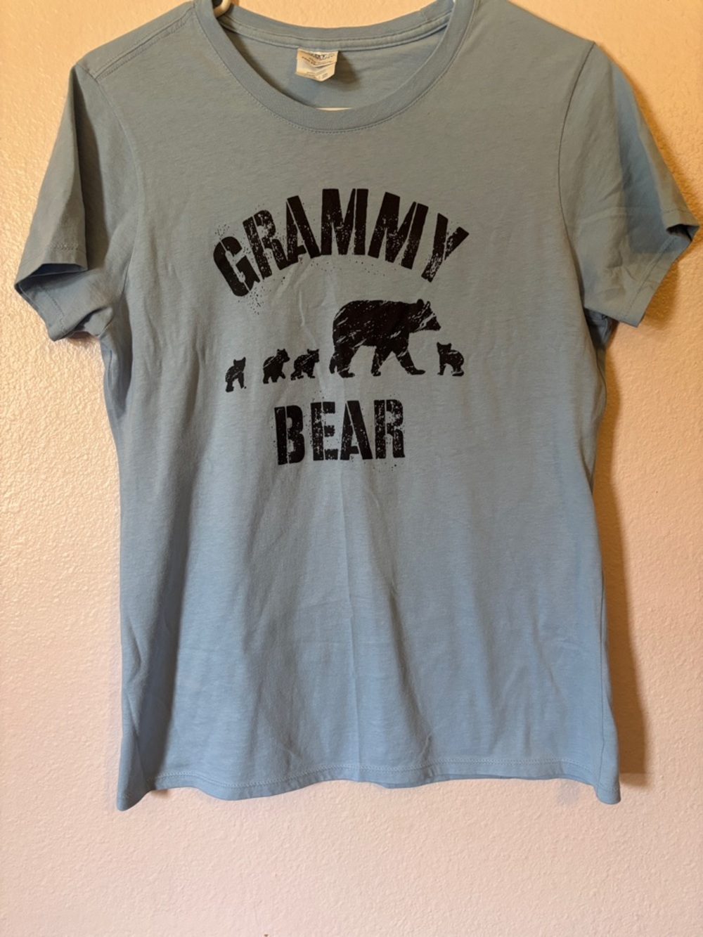Grammy Bear Graphic Tee in Light Blue, Grandma Short Sleeve Tee Size S